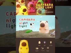 Lampu malam yang lucu