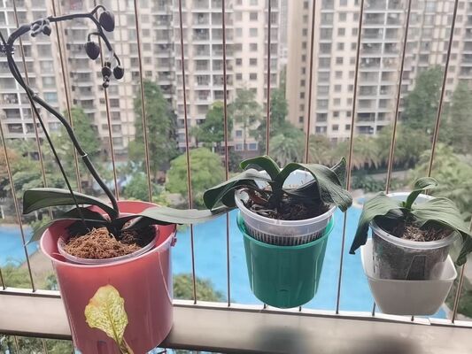 Aksesori Pot Bunga Panggangan Tak Terlihat Ukuran Sedang Tahan Lama Sempurna untuk Kawat Panggangan Tak Terlihat Balkon