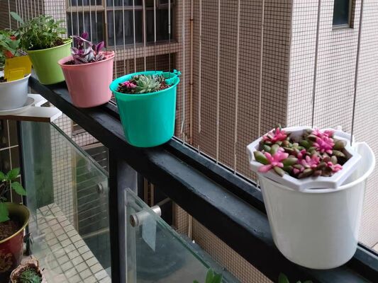 Klip Pot Bunga Jeruji Tak Terlihat Kawat 2.5mm Klip Pengencang 2.0mm untuk Jaring Kawat Industri dan Proyek Perakitan