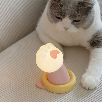 Cat Claw Creative Night Light Pengisian USB Hadiah Ulang Tahun Cantik dan Cantik Praktis Gadis Hadiah Silikon Patting Light