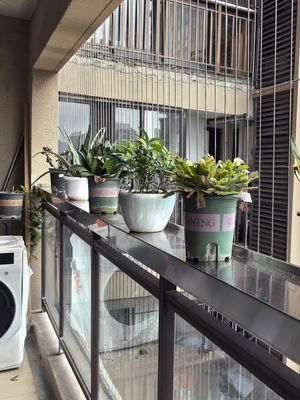 Bolted Installation Balcony Grills Dibangun Menggunakan Berkualitas Tinggi Kabel Baja Rinsing Untuk Perlindungan Dan Ketahanan